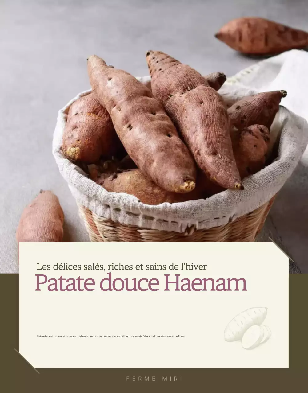 Ivory Khaki Neat Sweet Potato Produce Promotions