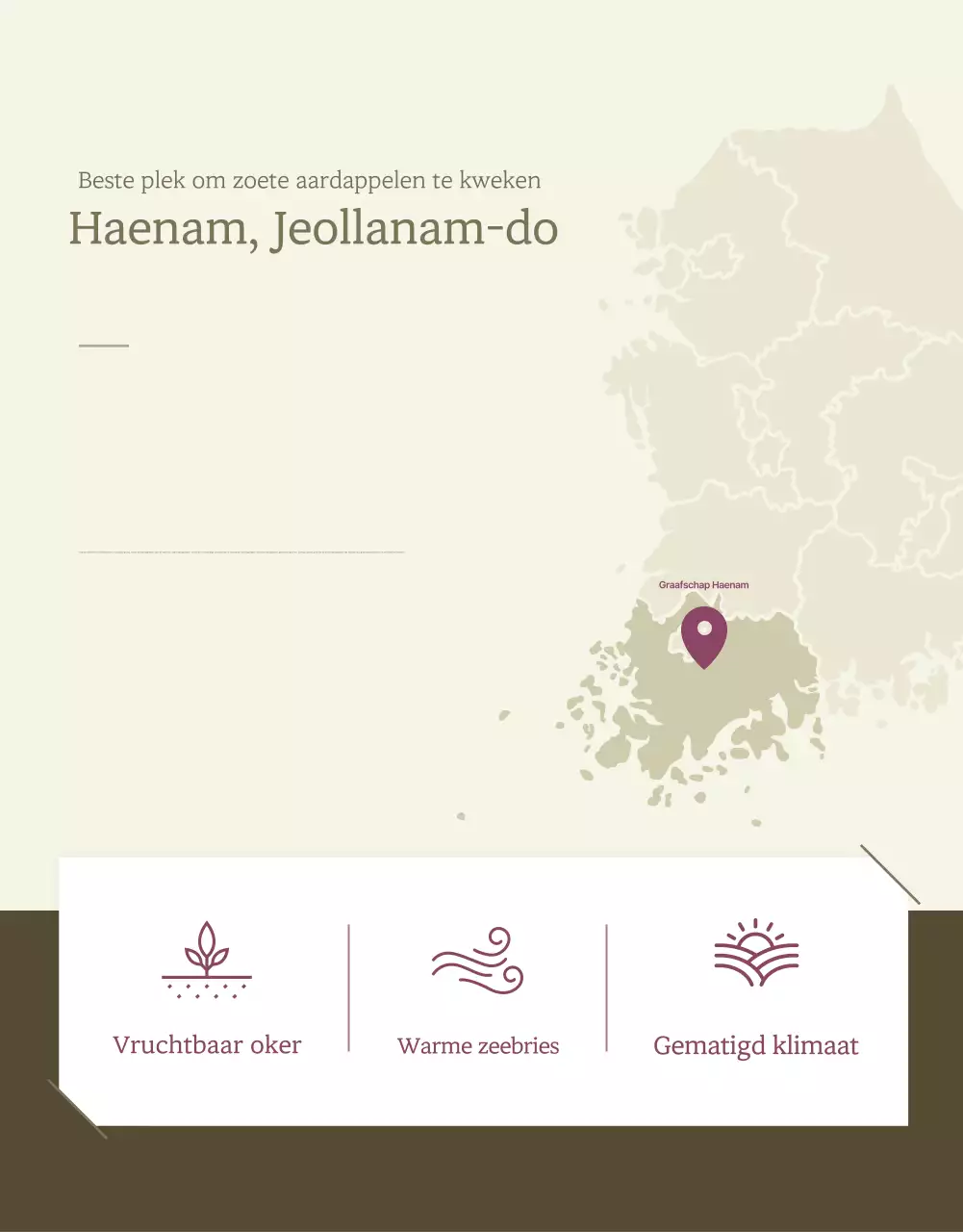 Ivory Khaki Nette Zoete Aardappel Promoties