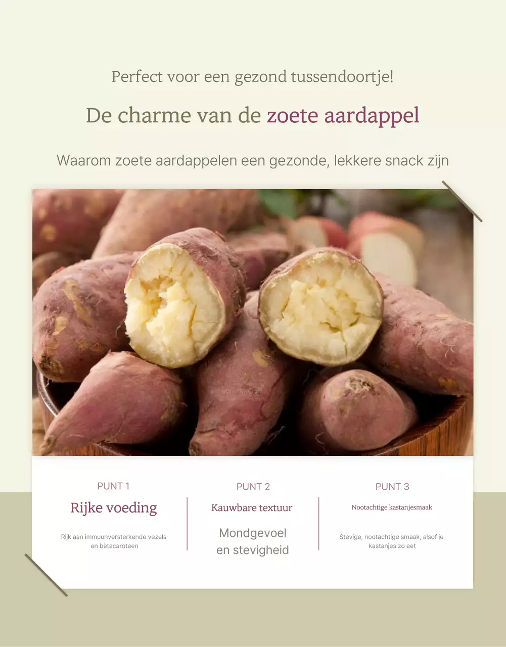 Ivory Khaki Nette Zoete Aardappel Promoties