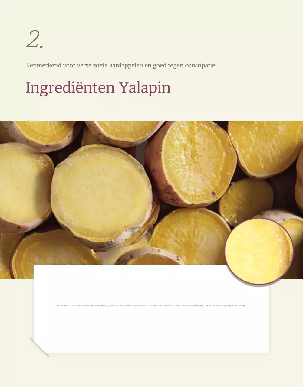 Ivory Khaki Nette Zoete Aardappel Promoties