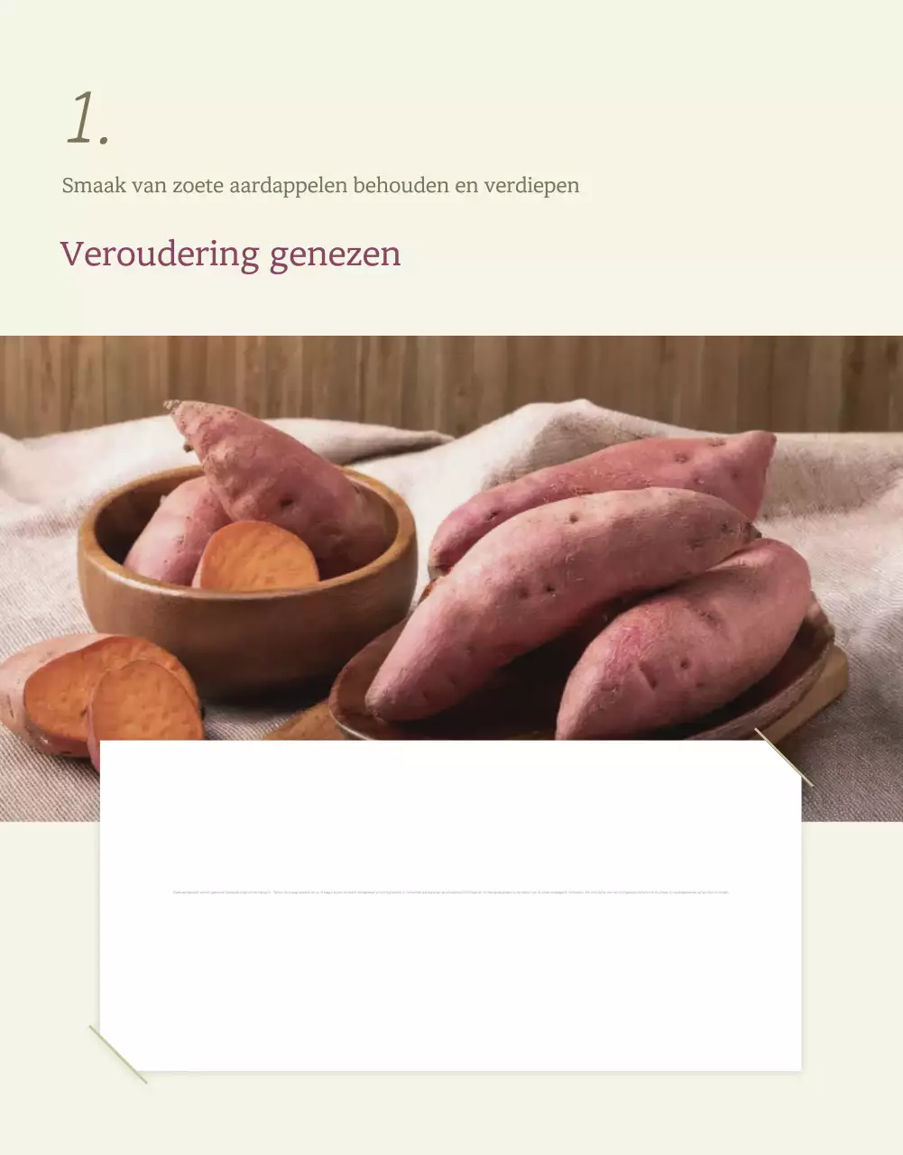 Ivory Khaki Nette Zoete Aardappel Promoties