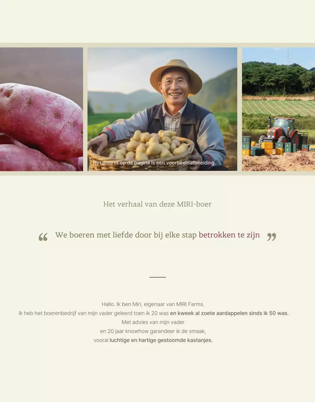 Ivory Khaki Nette Zoete Aardappel Promoties