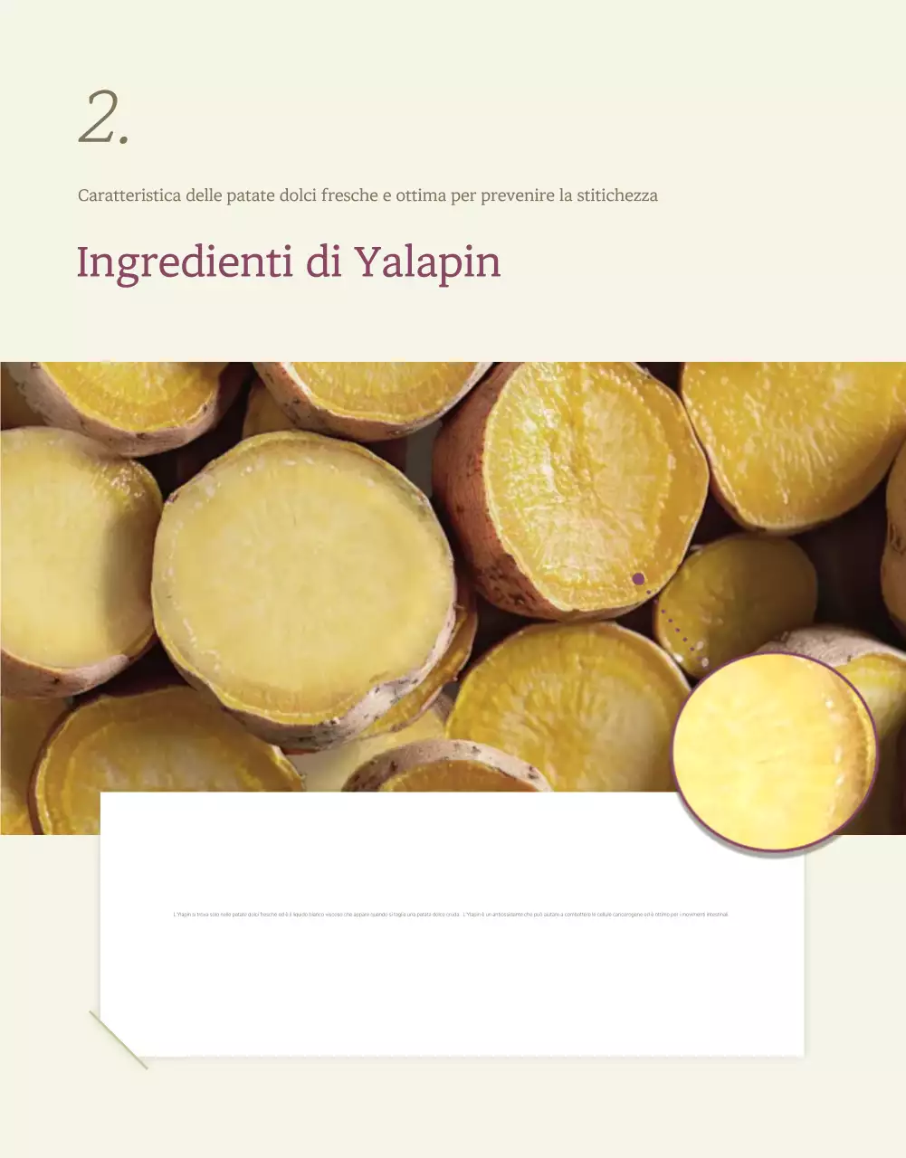 Avorio Cachi Neat Patate dolci Promozioni