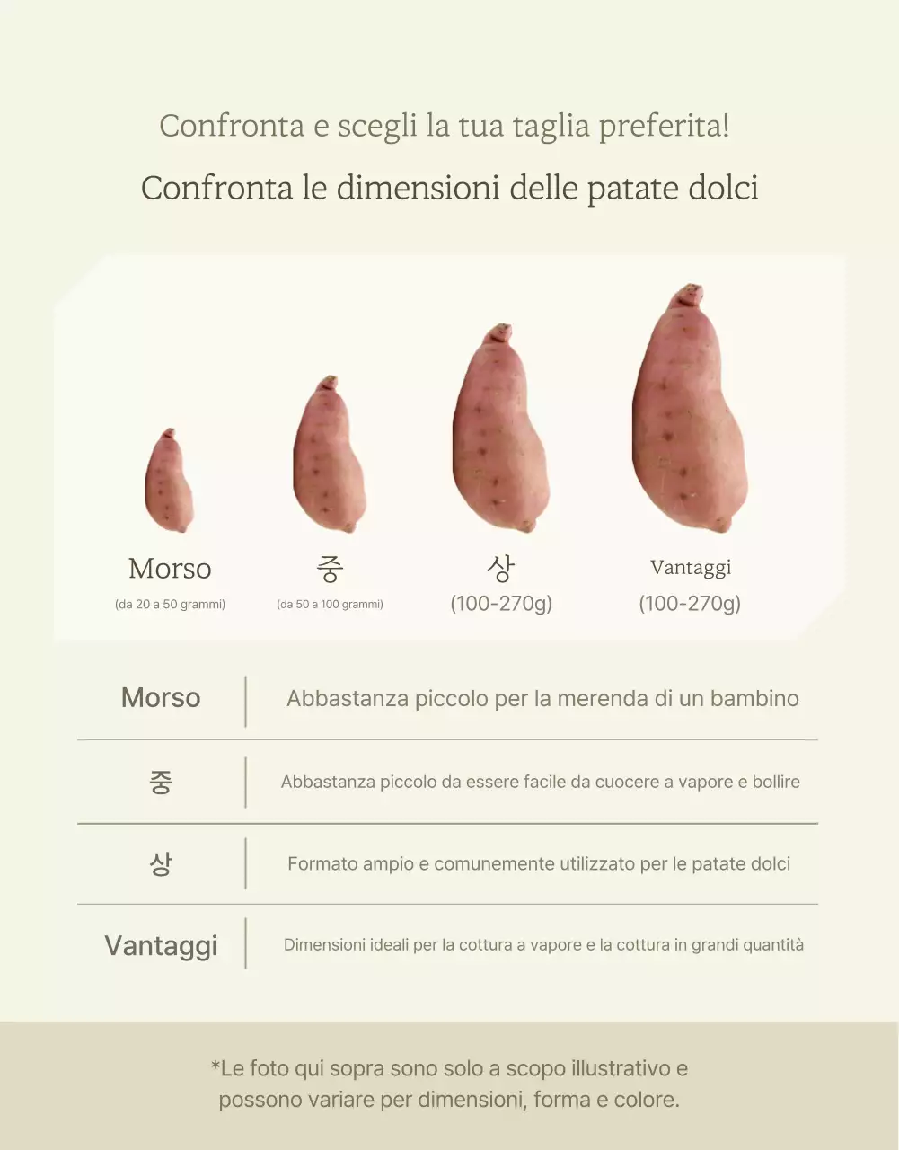Avorio Cachi Neat Patate dolci Promozioni