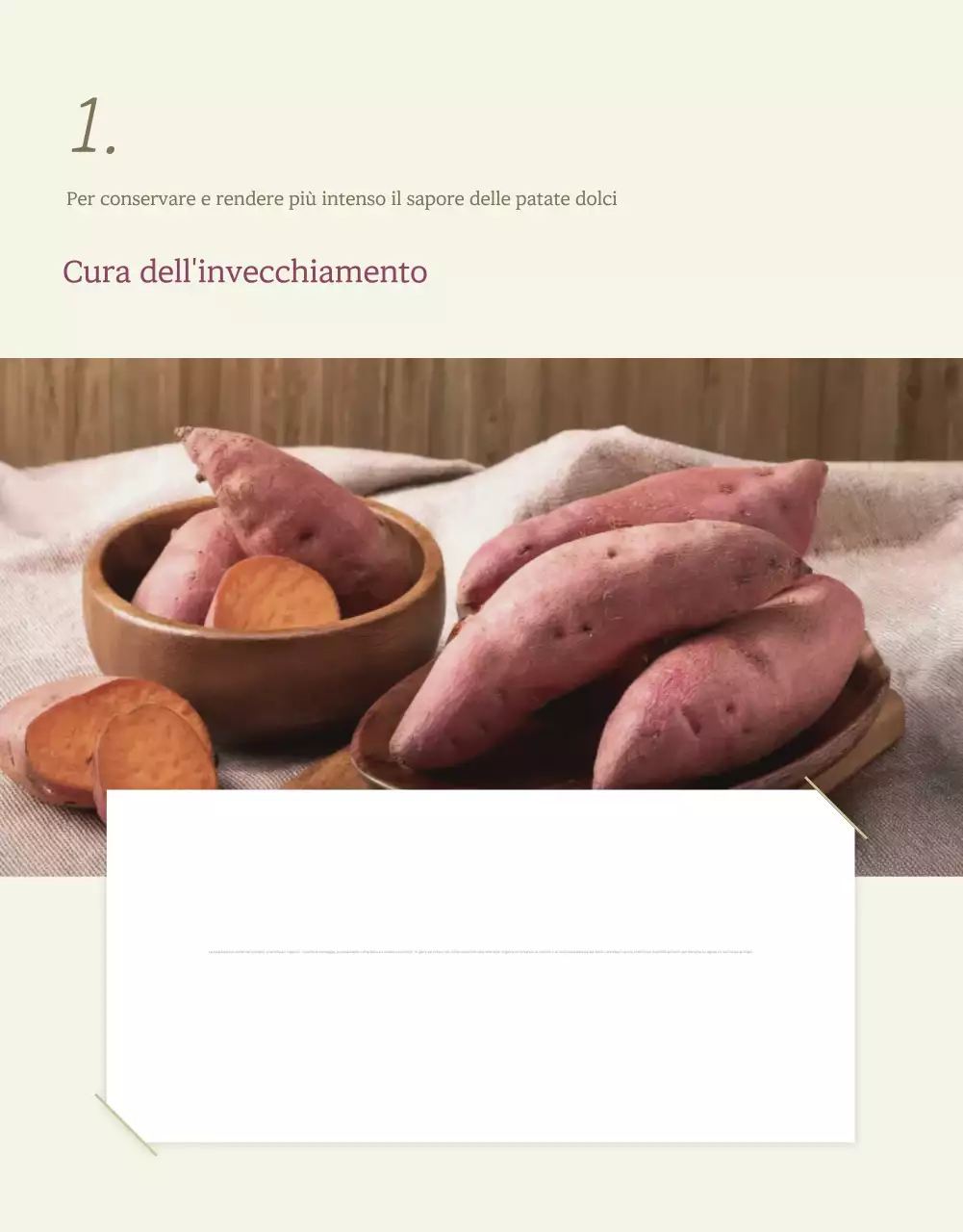 Avorio Cachi Neat Patate dolci Promozioni