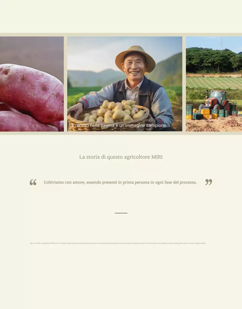 Avorio Cachi Neat Patate dolci Promozioni