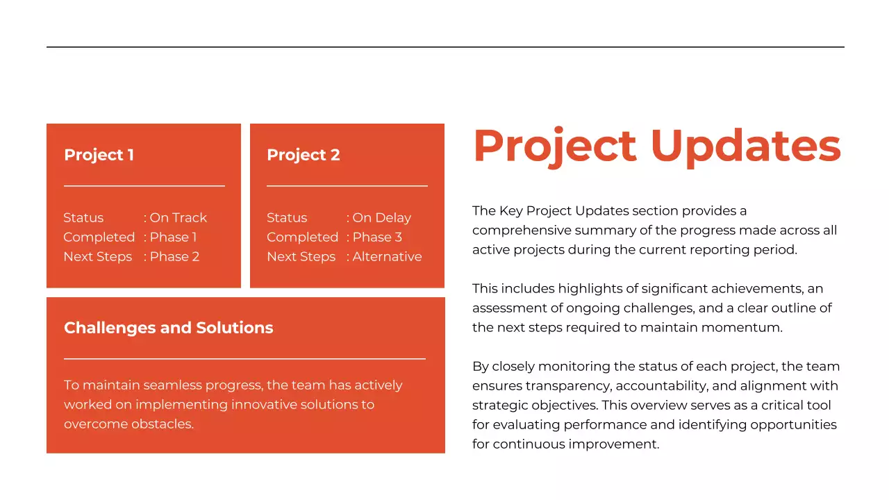 Orange Professional Business Report Presentation