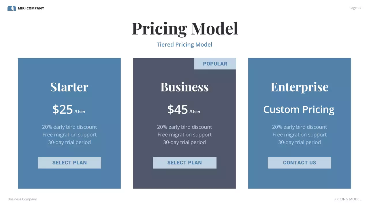 Grey Professional Business Plan Presentation