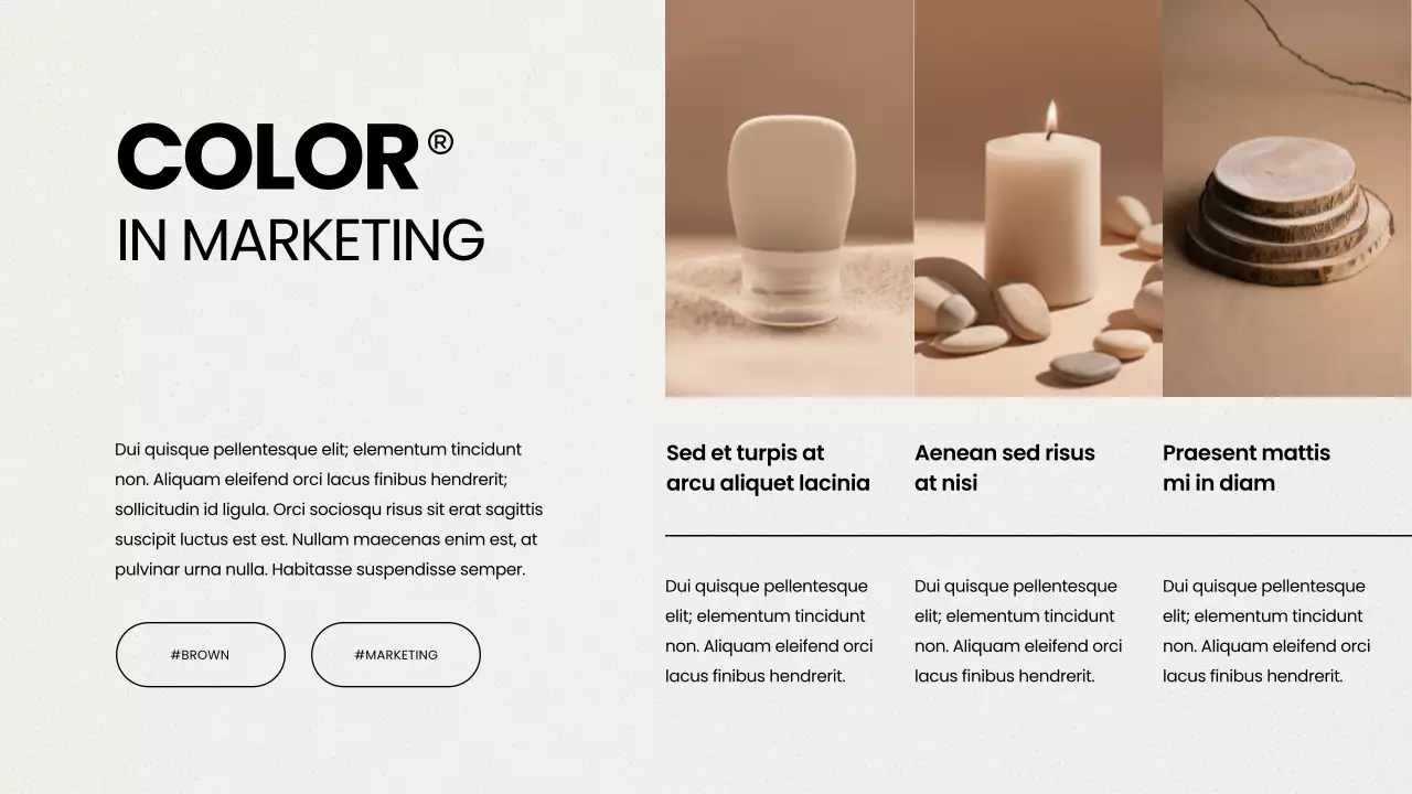 브라운 모던 컬러 리포트 프레젠테이션