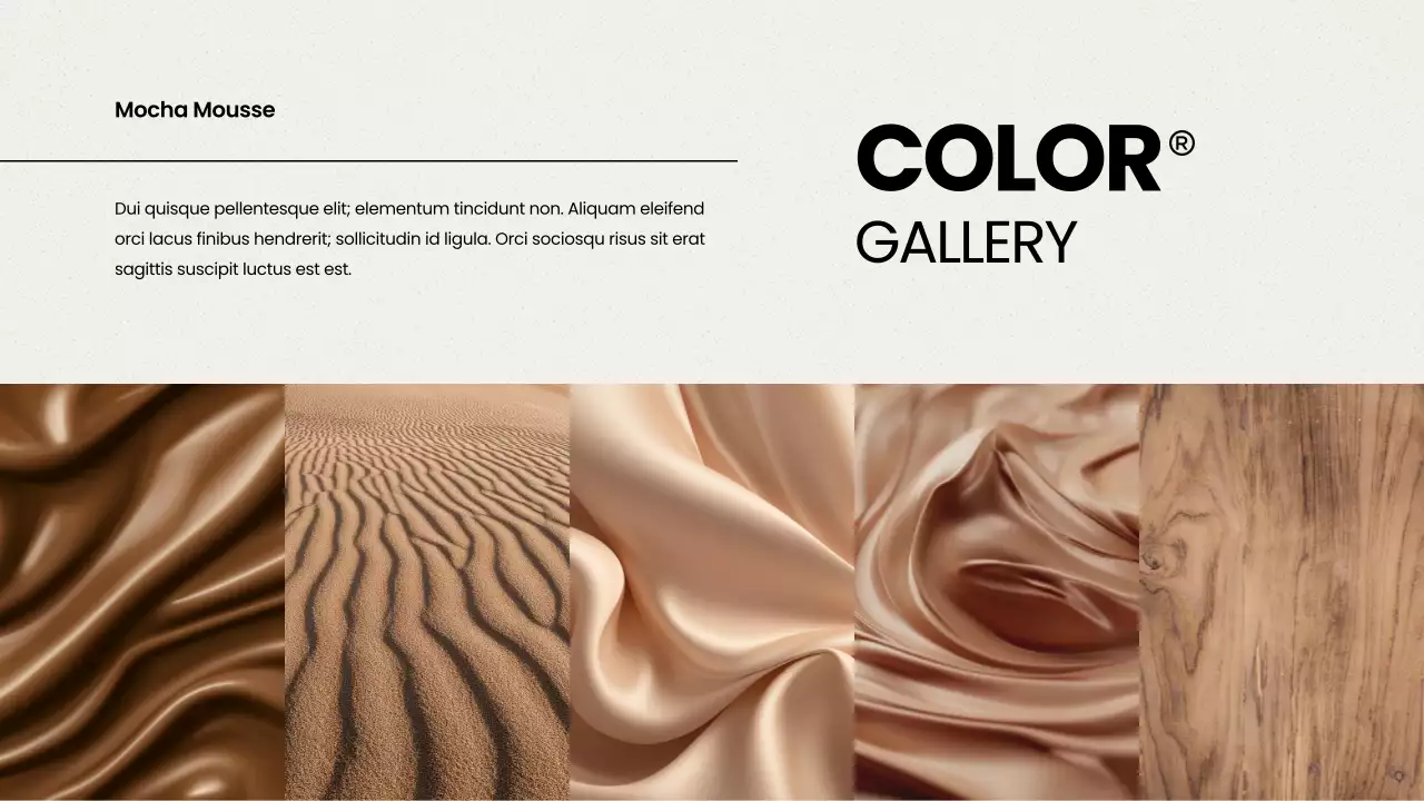 브라운 모던 컬러 리포트 프레젠테이션