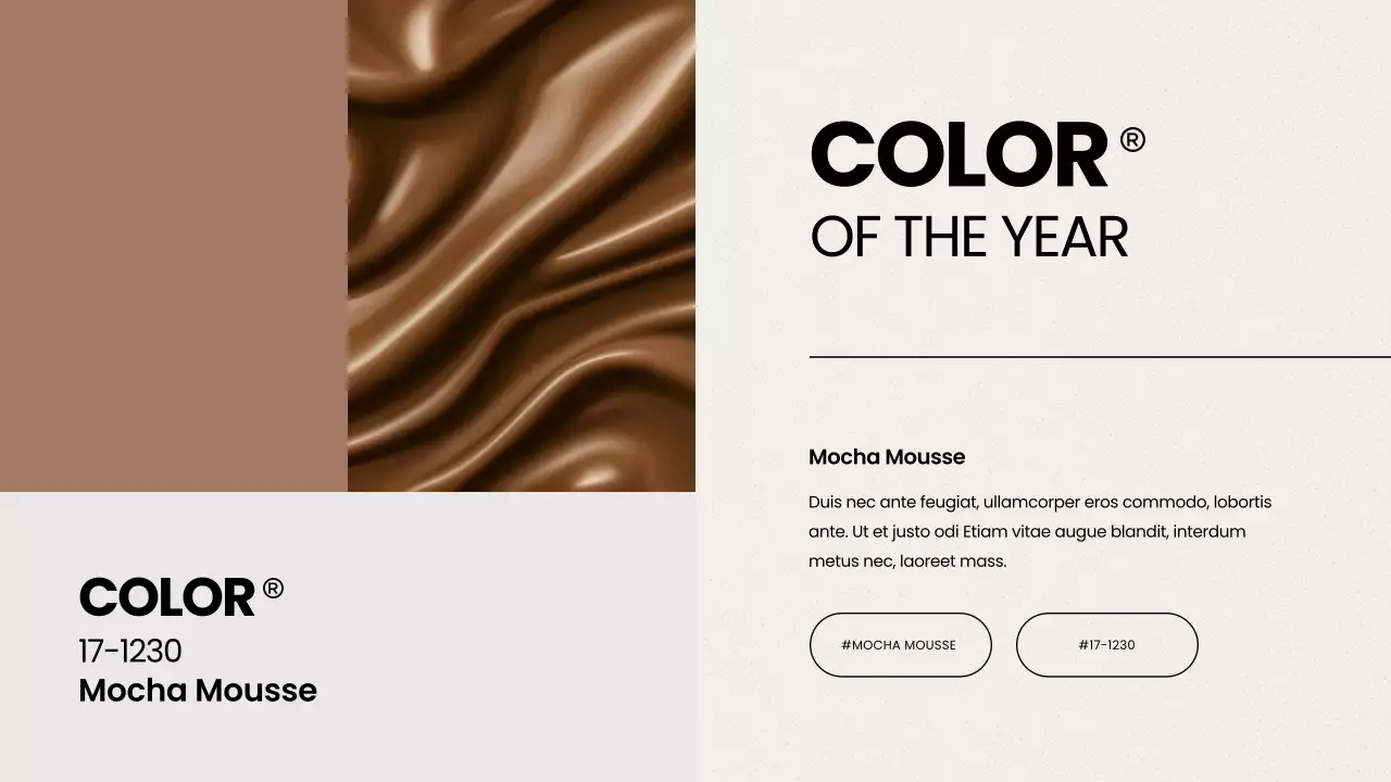 브라운 모던 컬러 리포트 프레젠테이션