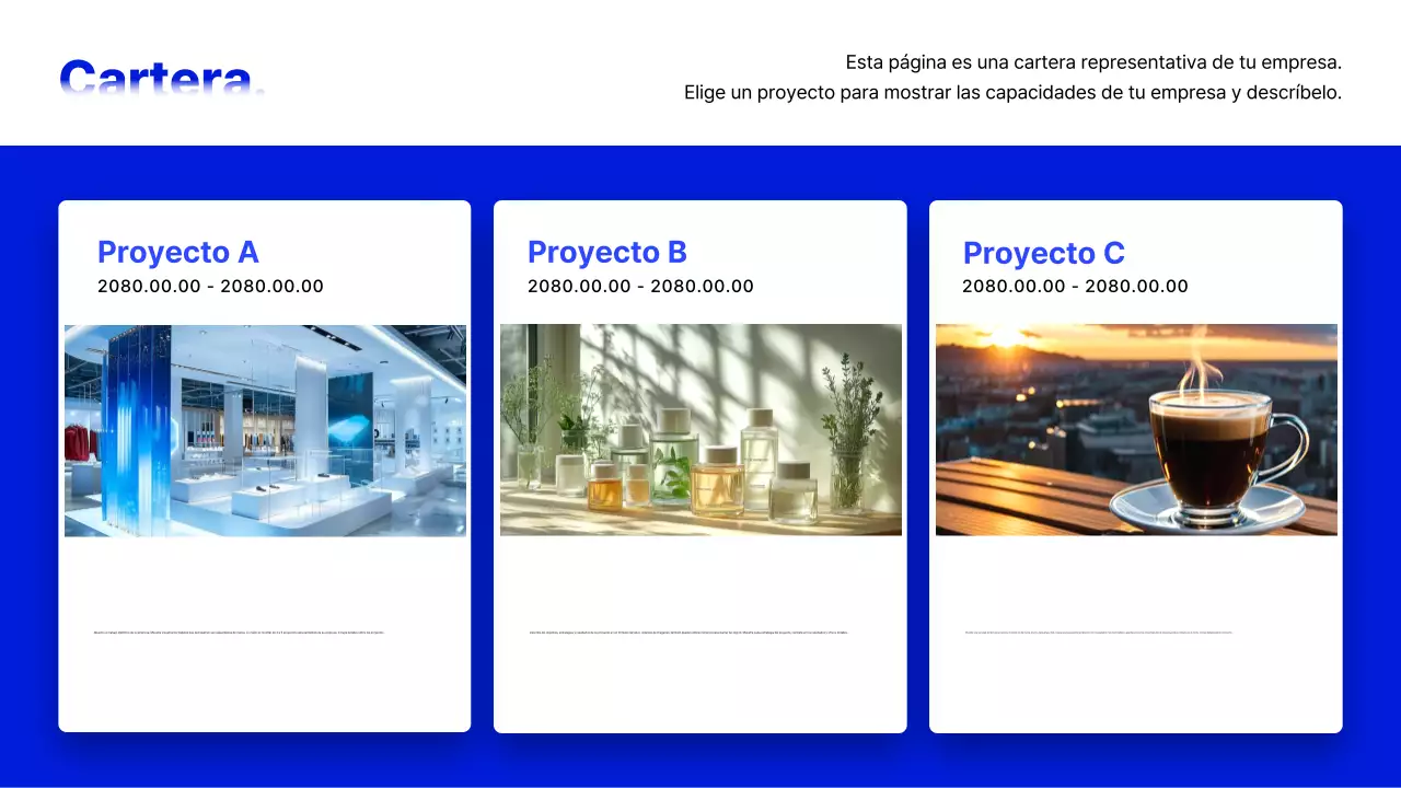 Descripción del perfil de la empresa Blue Modern