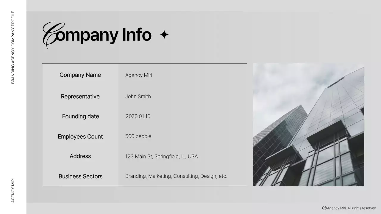 Apresentação de documento de marca profissional cinza