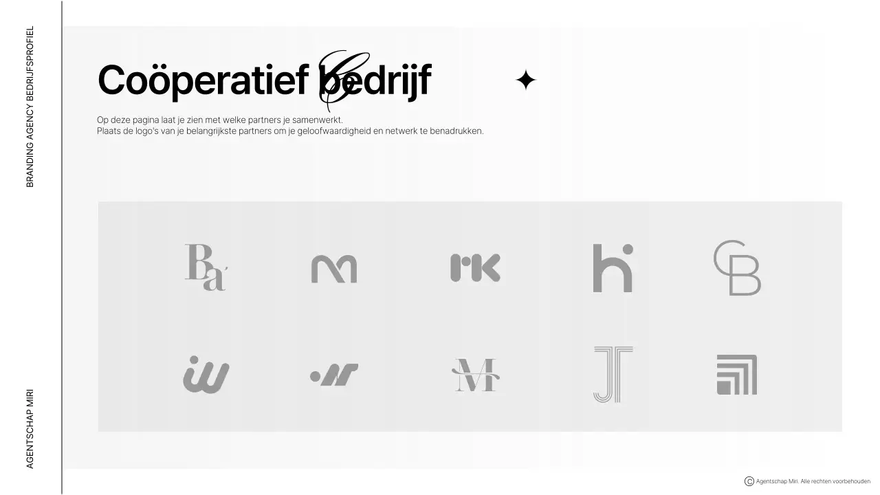 Bruine moderne bedrijfsprofiel beschrijving
