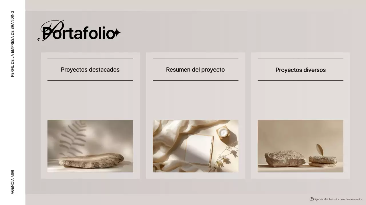 Descripción del perfil de la empresa Brown modern