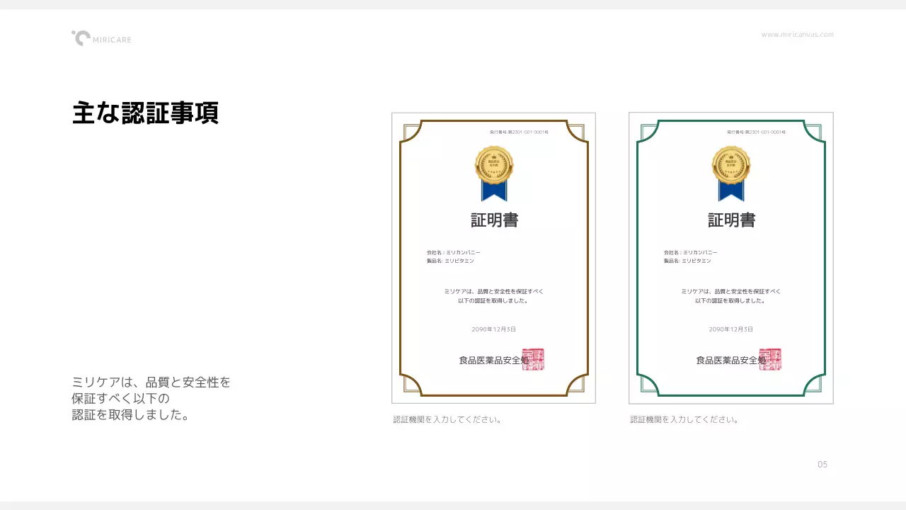 カラフル モダン サプリメント 資料 プレゼンテーション