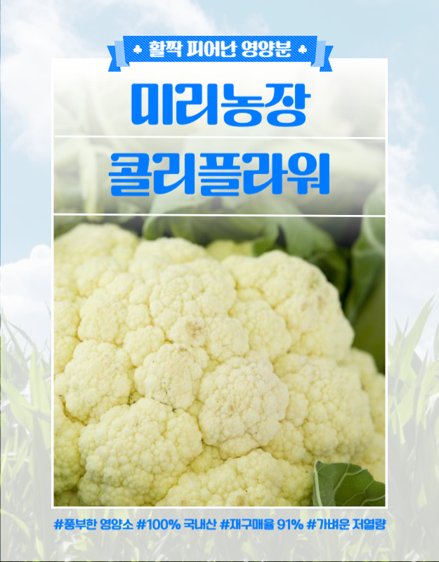 블루 그린 컬러의 귀여운 일러스트 테마의 콜리플라워 농장 안내