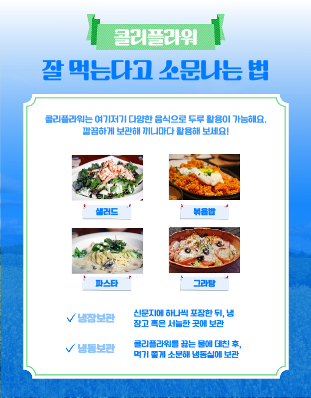 블루 그린 컬러의 귀여운 일러스트 테마의 콜리플라워 농장 안내