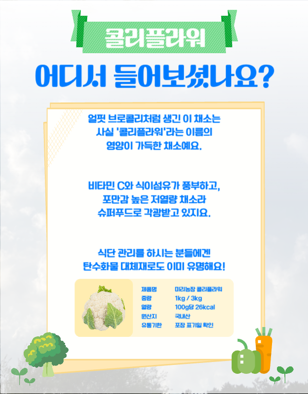 블루 그린 컬러의 귀여운 일러스트 테마의 콜리플라워 농장 안내