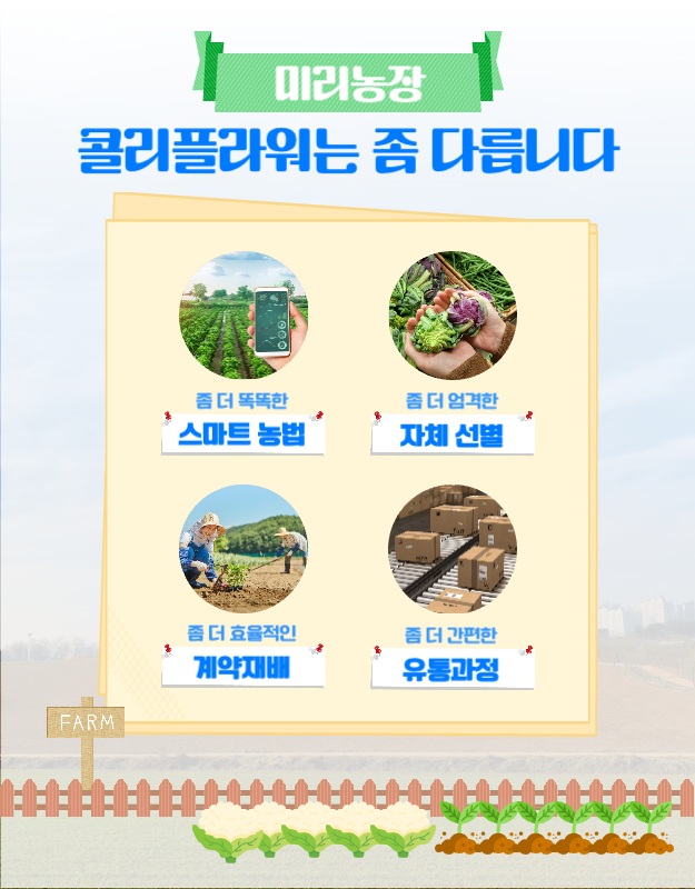 블루 그린 컬러의 귀여운 일러스트 테마의 콜리플라워 농장 안내