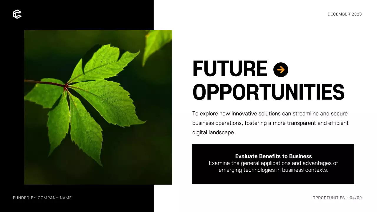 Black Modern Business Presentation