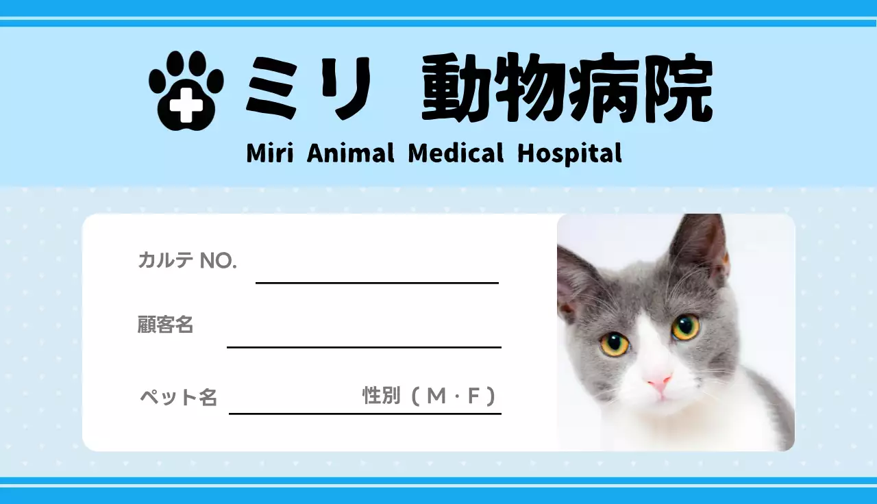 水色 かわいい 動物 診察券