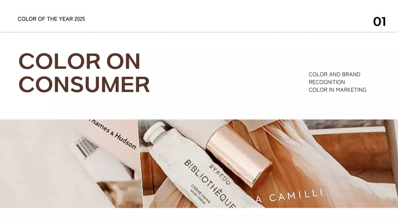 Brown Modern Color Trend Report Presentation