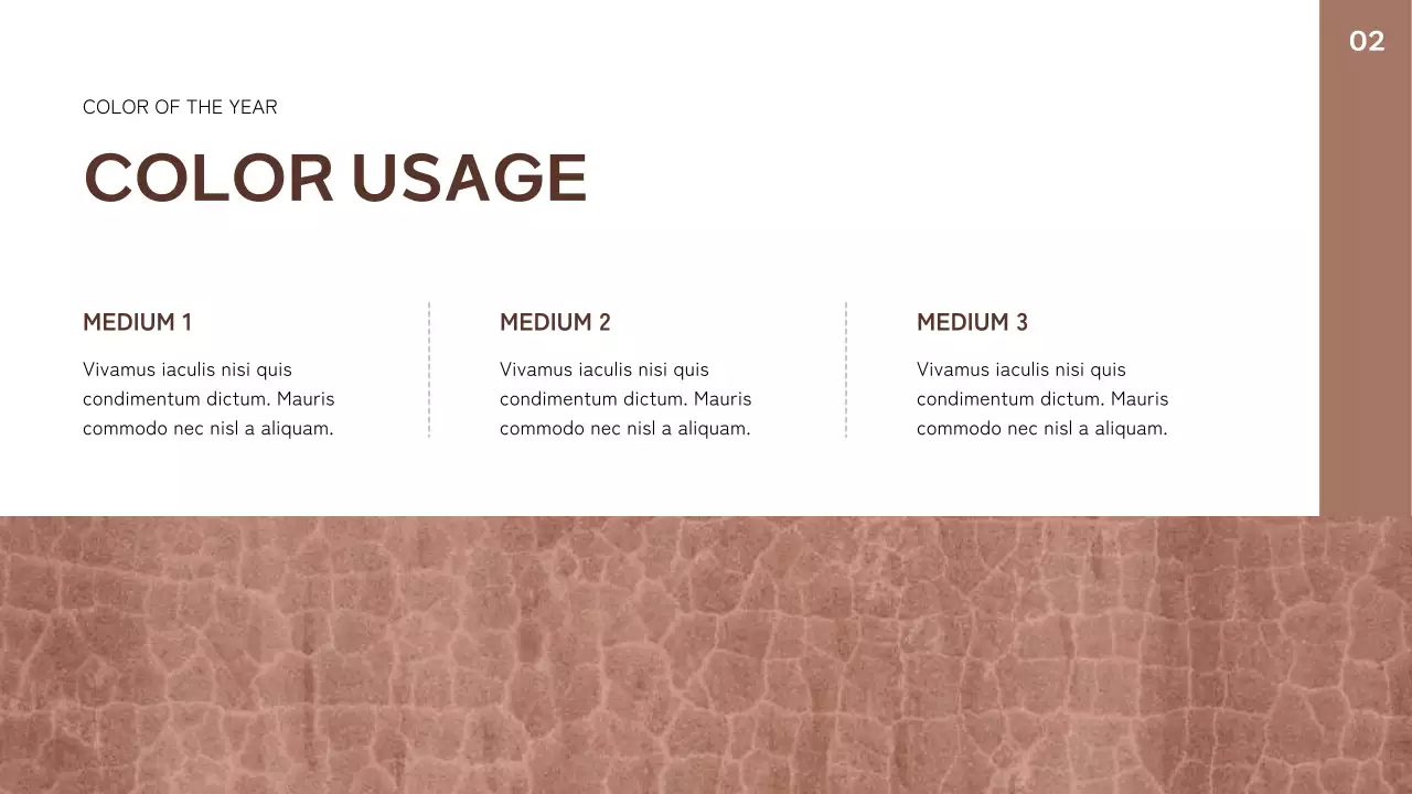 Brown Modern Color Trend Report Presentation