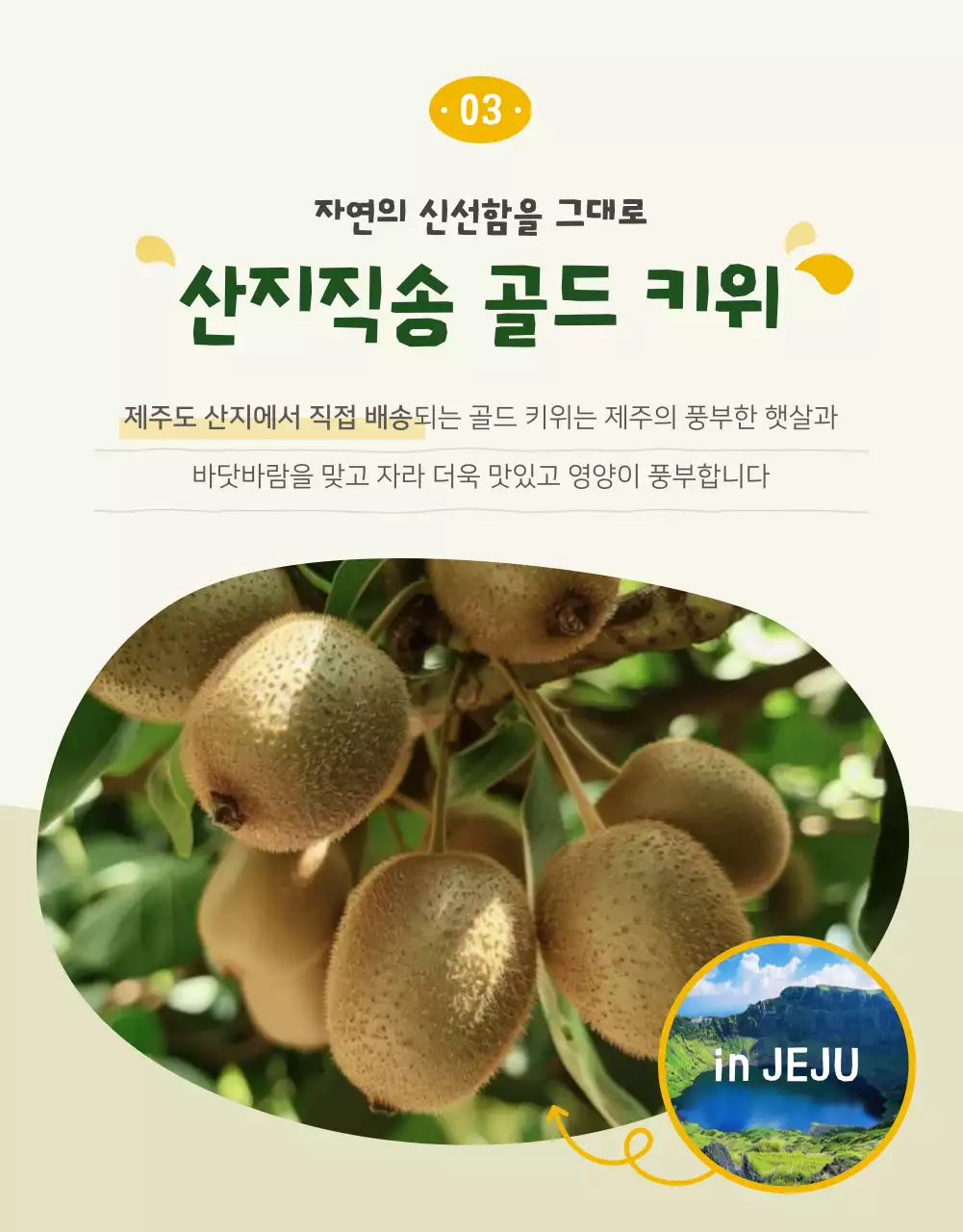 노랑 심플 키위 광고