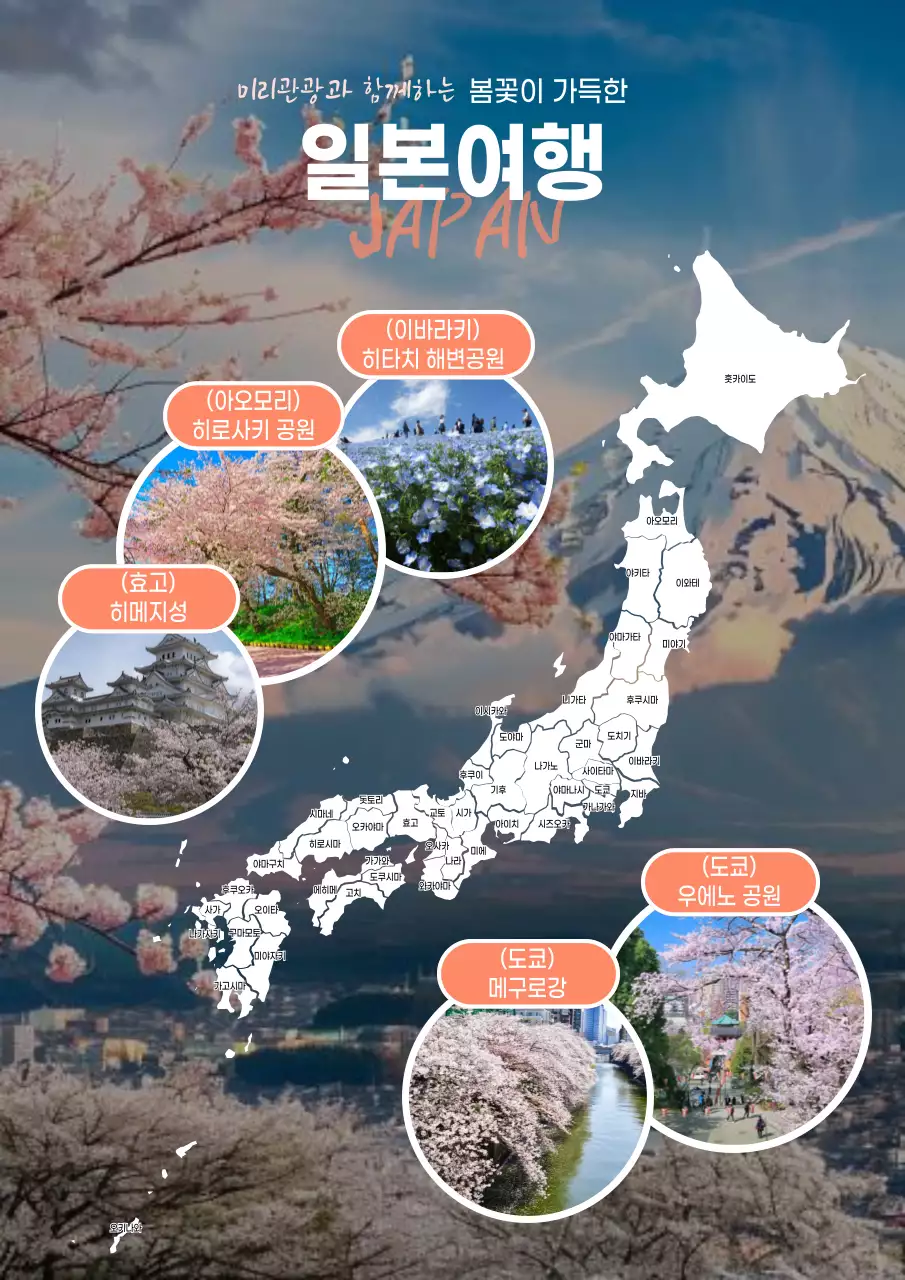 분홍색의 화사한 일본 봄꽃 여행 홍보