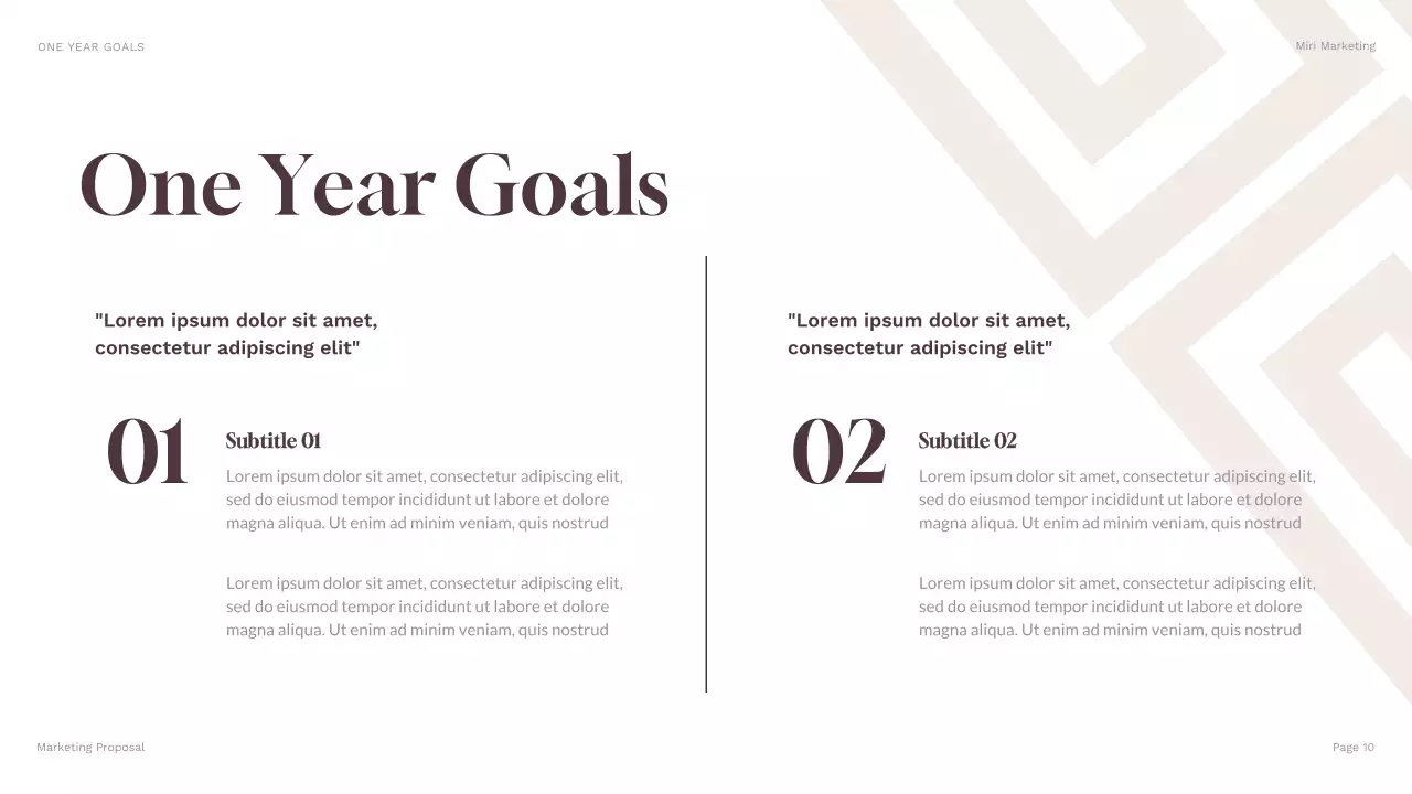 Brown Geometric Business Plan Presentation