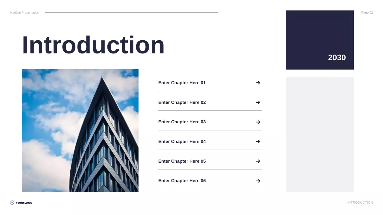 Blue Professional Healthcare Presentation