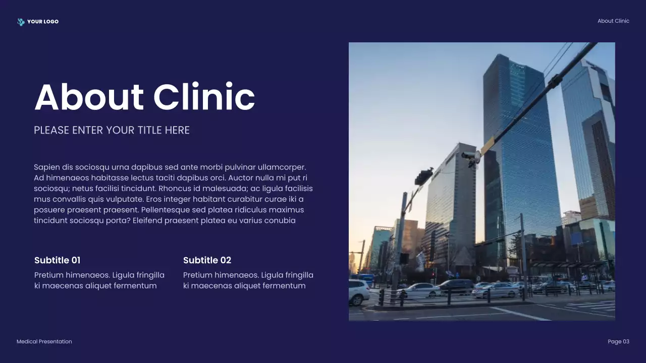 Blue Professional Healthcare Presentation