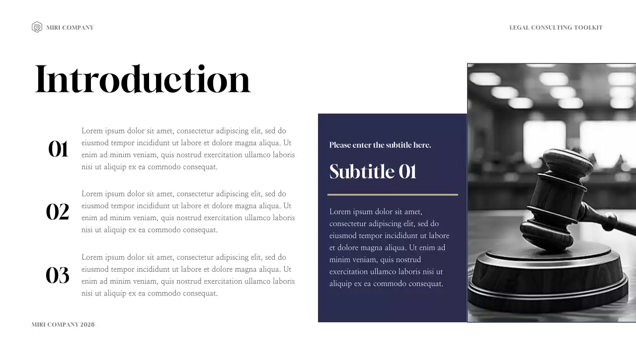 Navy Professional Legal Consultancy Presentation