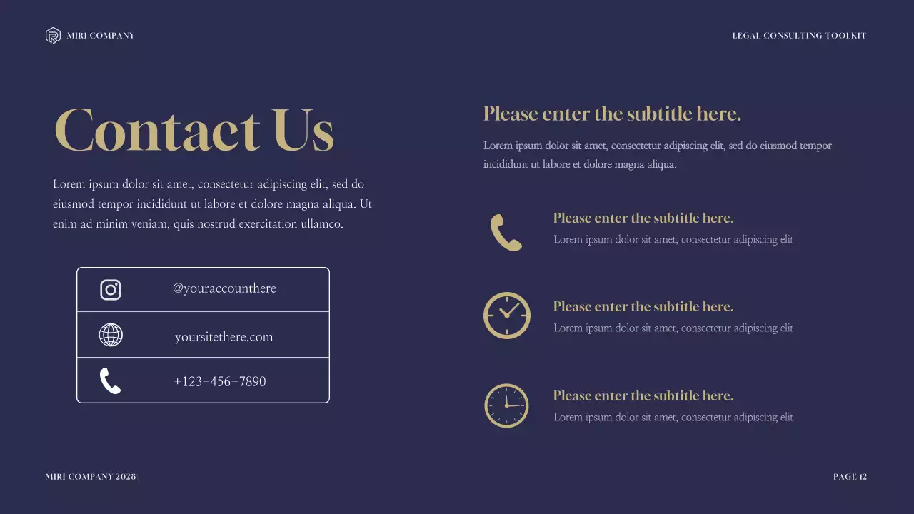 Navy Professional Legal Consultancy Presentation