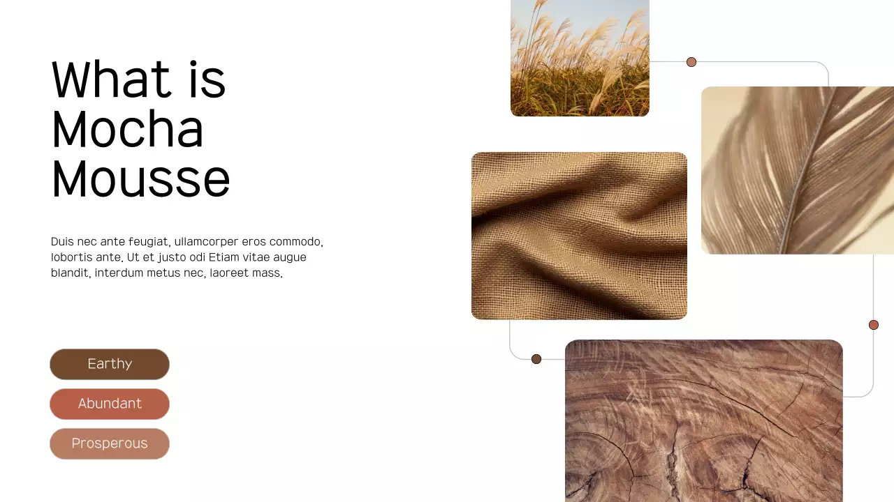 Apresentação do Relatório de Tendências de Cores Mínimas em Marrom