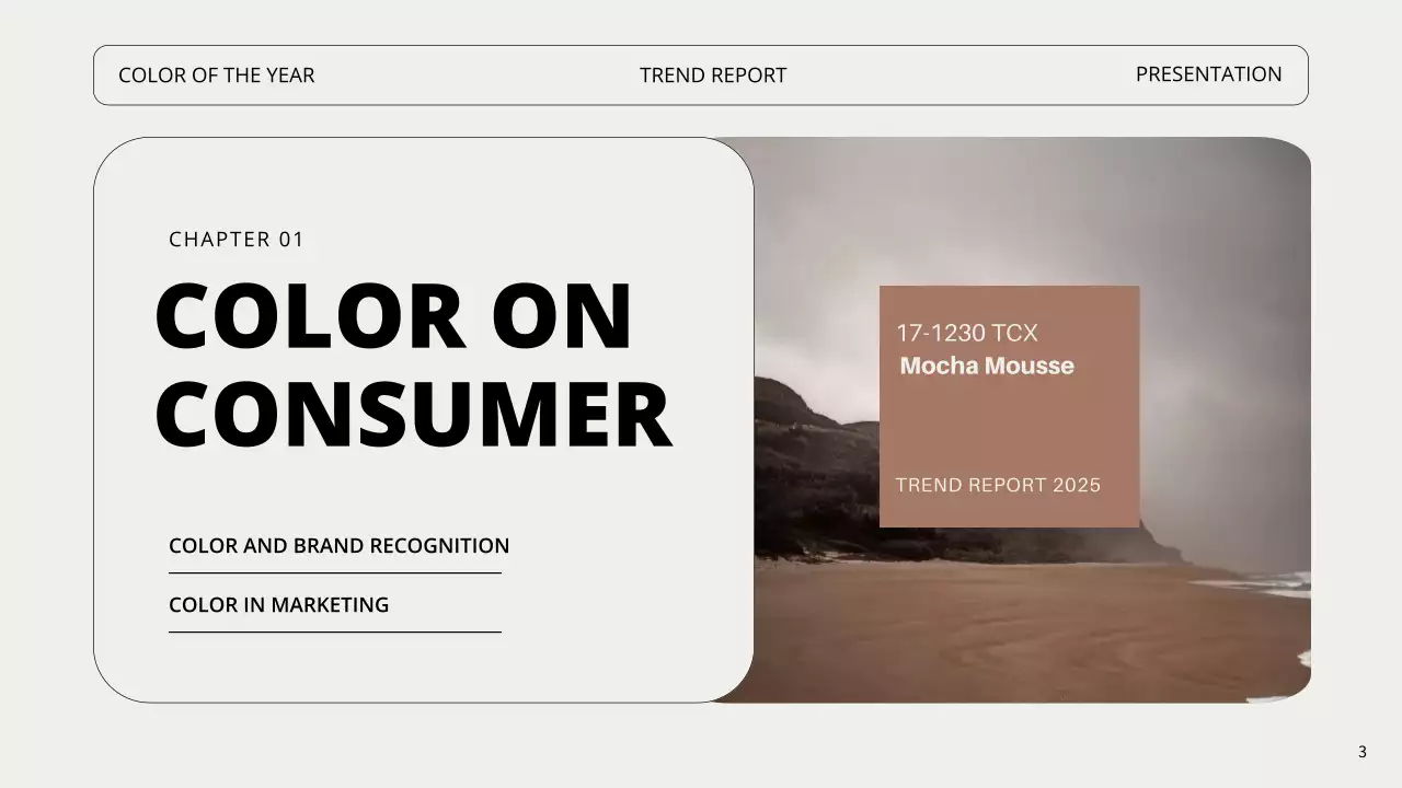 브라운 미니멀 컬러 트렌드 리포트 프레젠테이션
