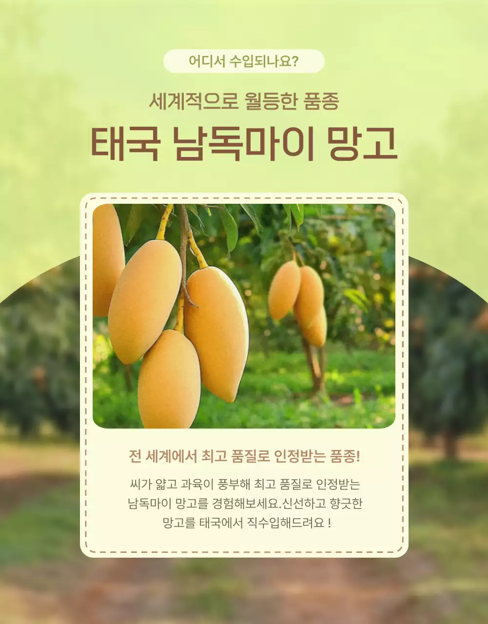 아이보리 연두 깔끔 망고 광고