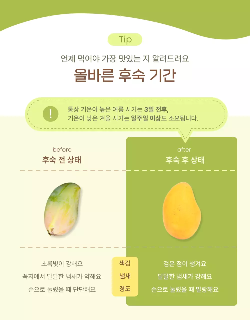 아이보리 연두 깔끔 망고 광고