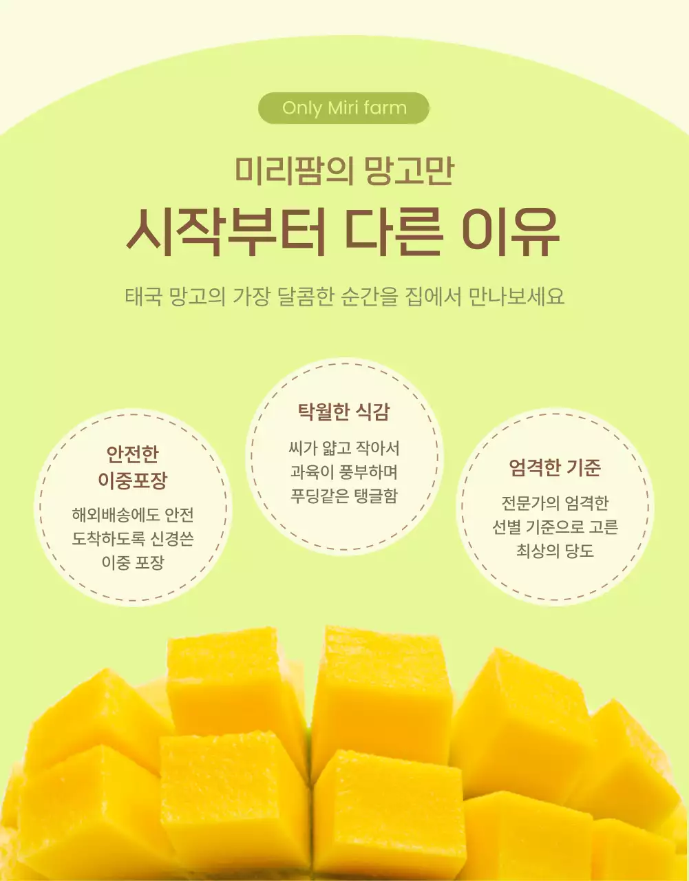 아이보리 연두 깔끔 망고 광고