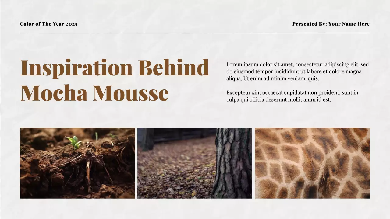 Brown Modern Color Trend Report Presentation