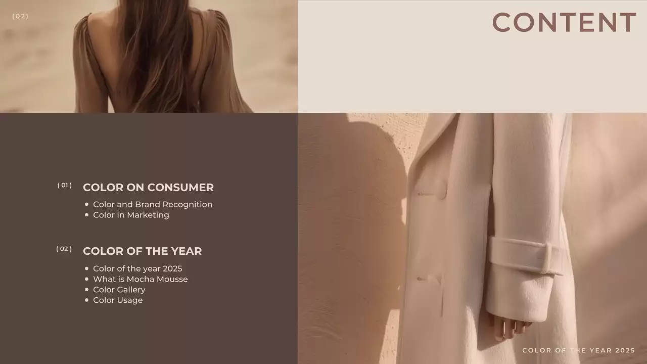 Brown Modern Color Trend Report Presentation