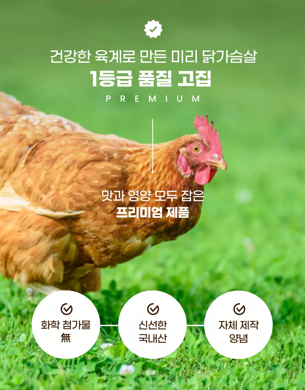 갈색 모던 다이어트 광고