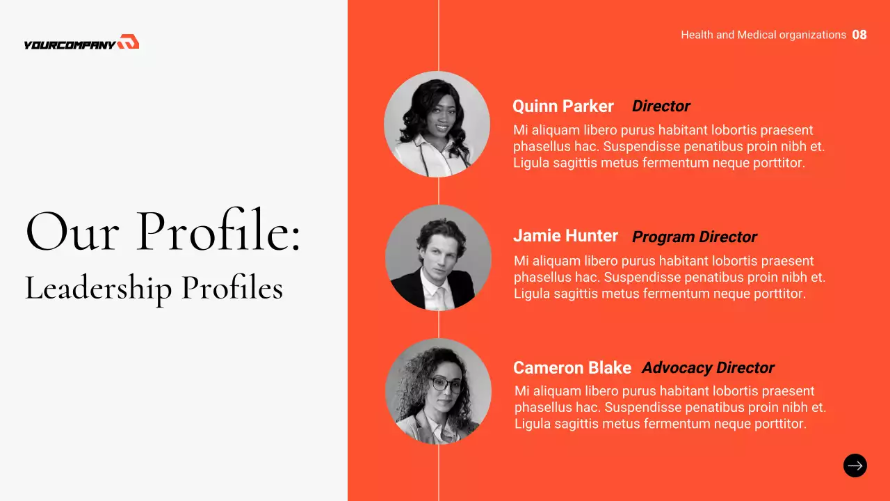 Orange Professional Non-Profit Proposal Presentation