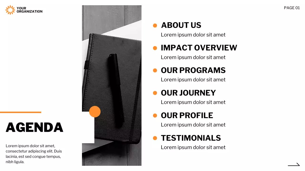 Orange Professional Non-Profit Proposal Presentation