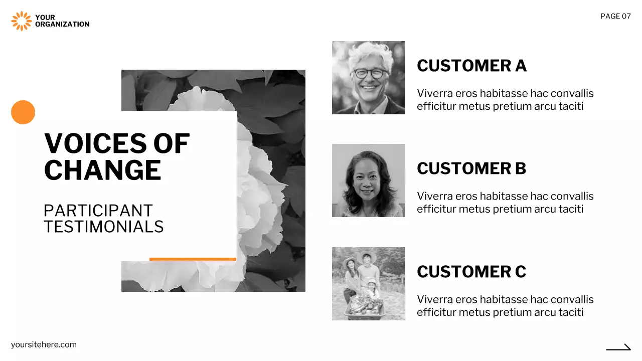 Orange Professional Non-Profit Proposal Presentation