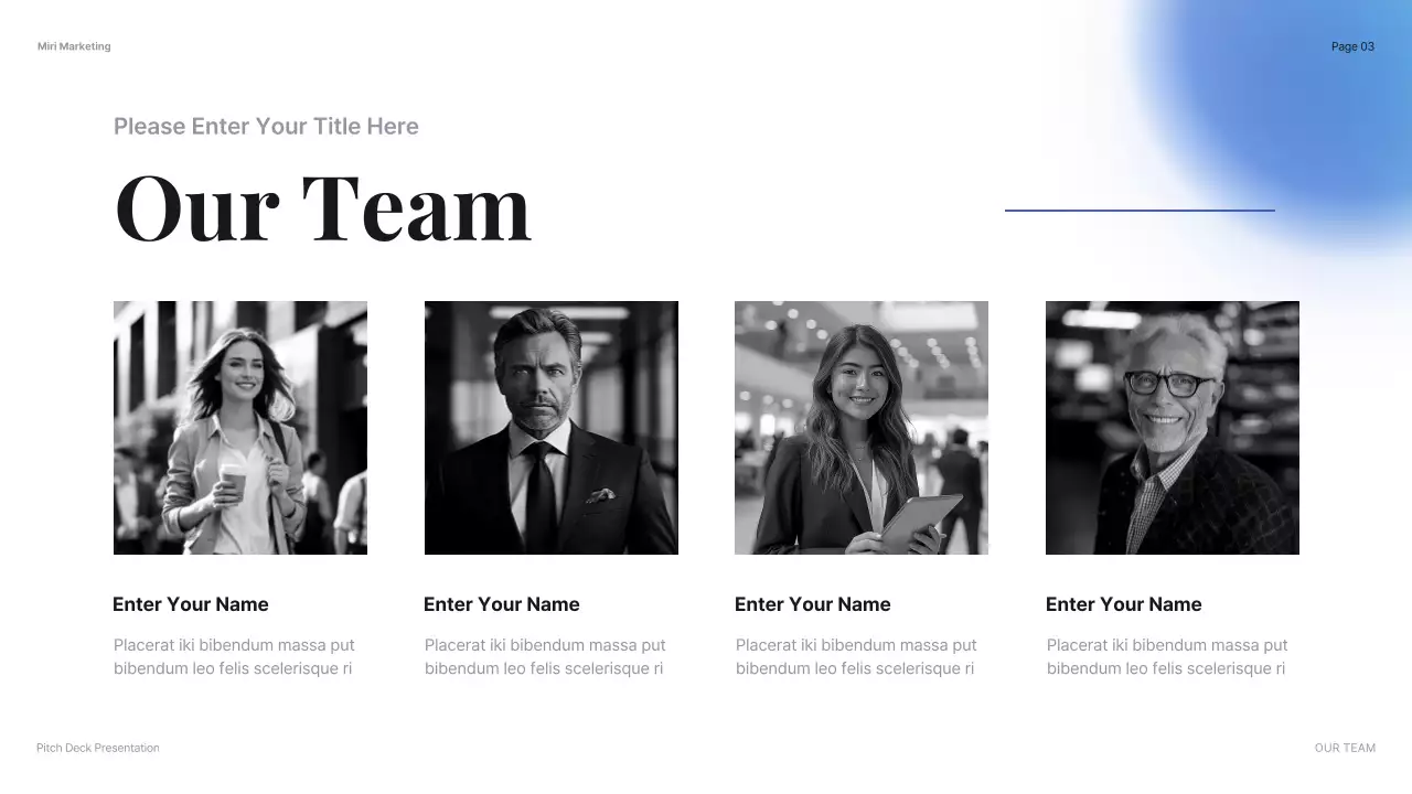 Black Professional Company Introduction Presentation