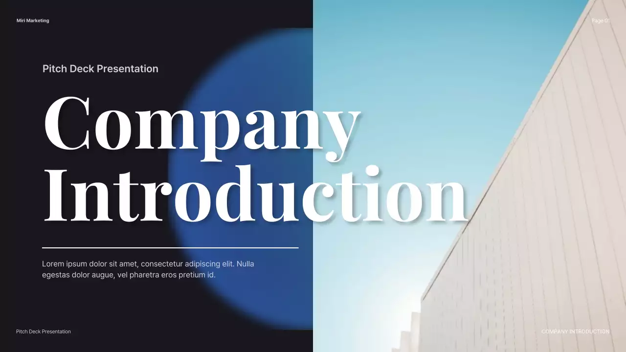 Black Professional Company Introduction Presentation