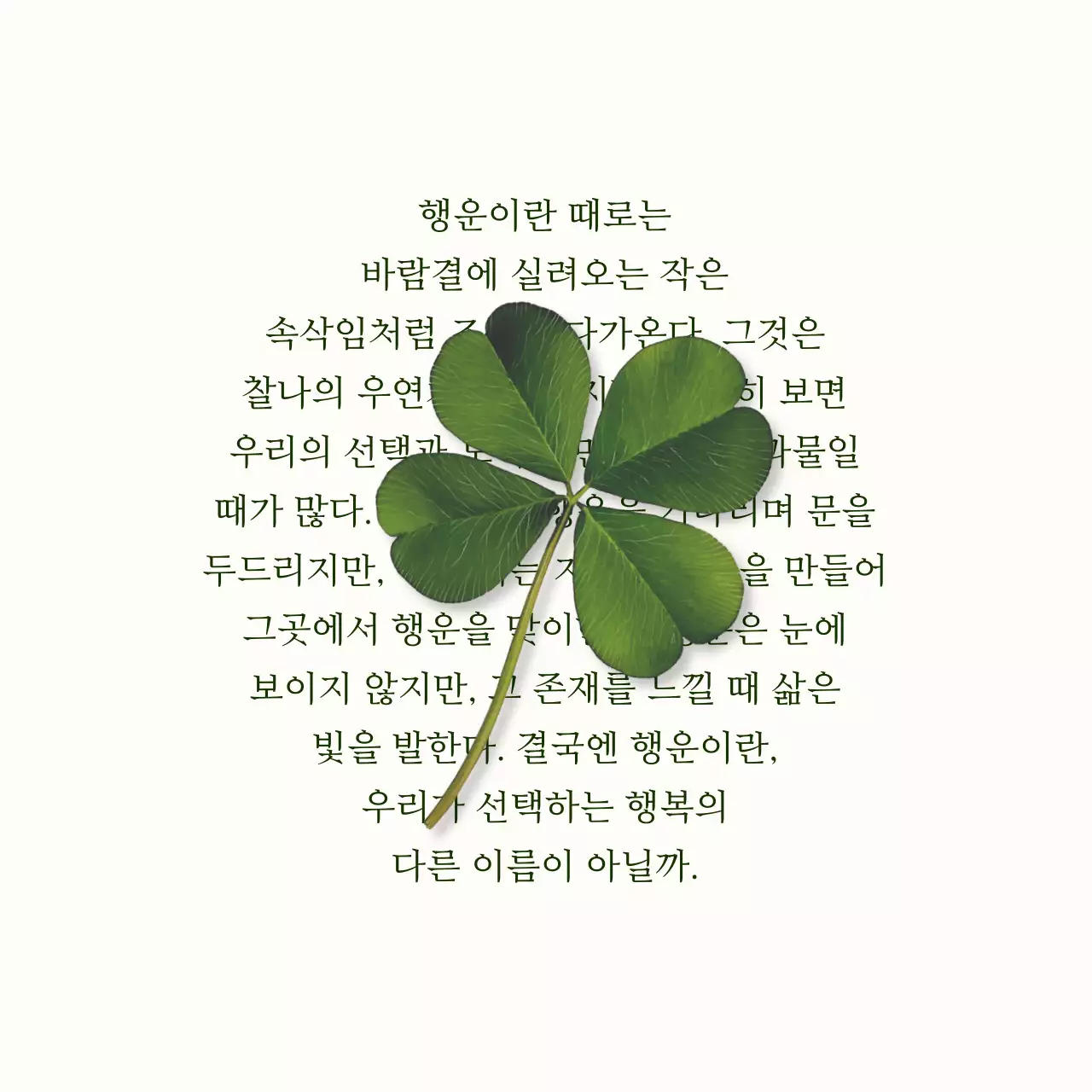 아이보리 심플 행복 글귀