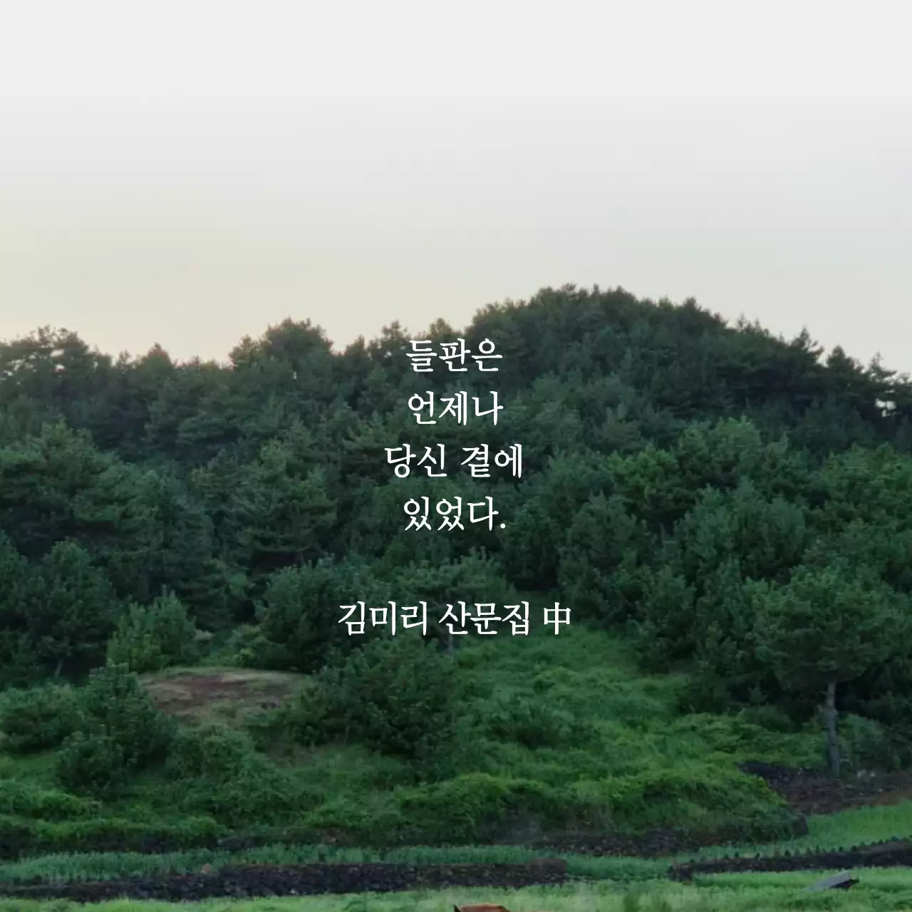 초록 자연 환경 문학 동호회